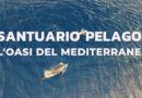 L’AVVENTURA DELLA CREAZIONE DEL SANTUARIO PELAGOS